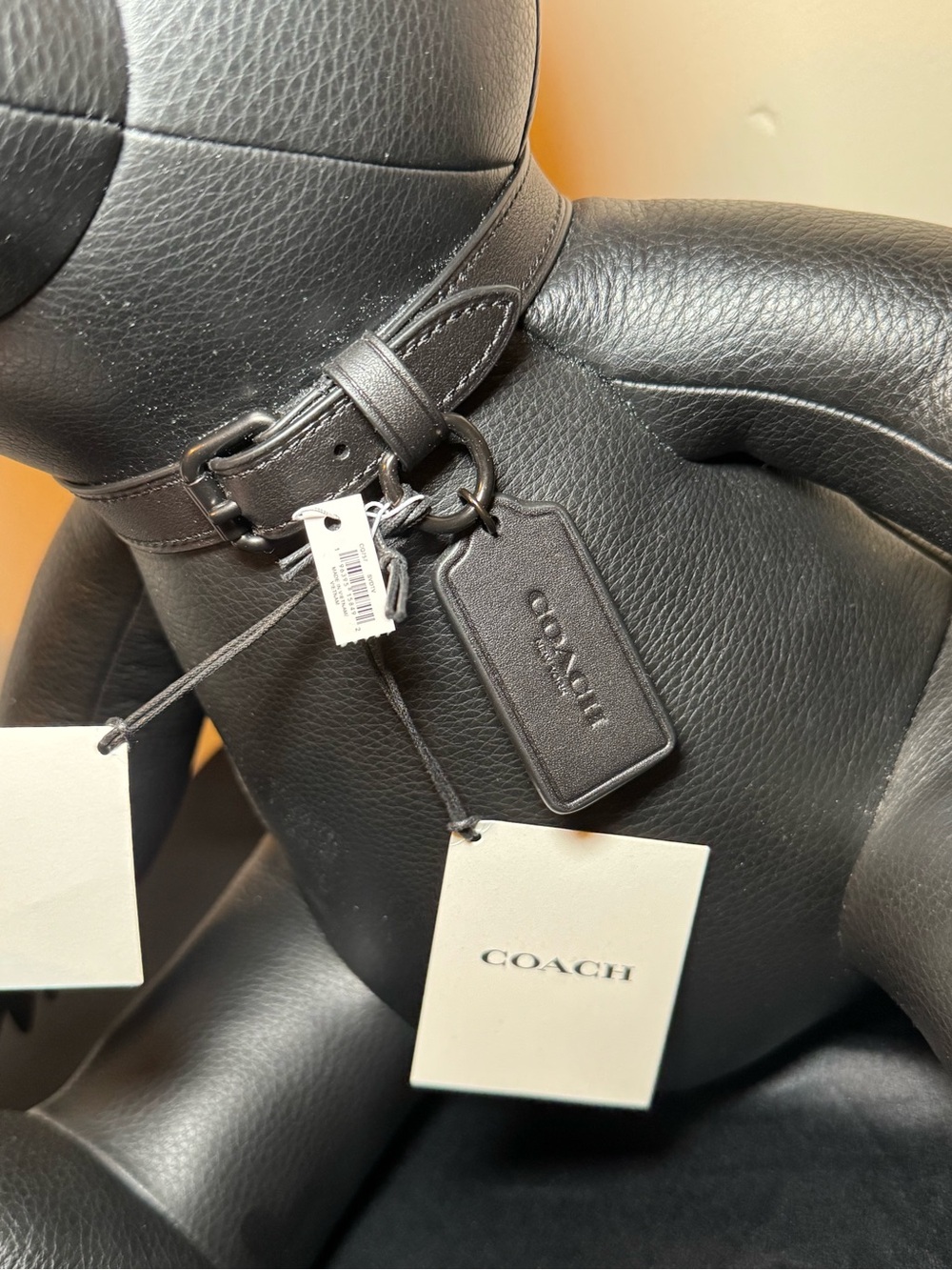 Coach Collectible Bear - Picture 12 of 13
